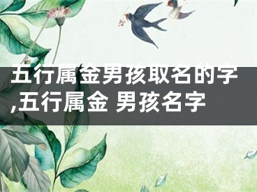 五行属金男孩取名的字,五行属金 男孩名字