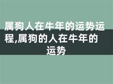 属狗人在牛年的运势运程,属狗的人在牛年的运势