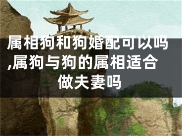属相狗和狗婚配可以吗,属狗与狗的属相适合做夫妻吗