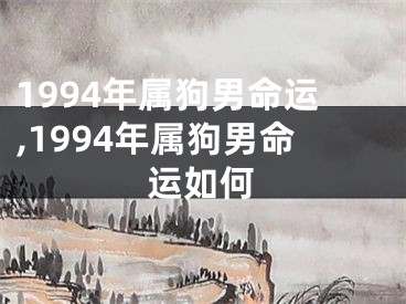 1994年属狗男命运,1994年属狗男命运如何