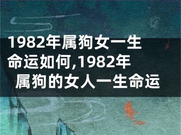 1982年属狗女一生命运如何,1982年属狗的女人一生命运