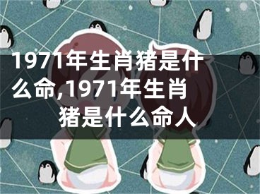 1971年生肖猪是什么命,1971年生肖猪是什么命人