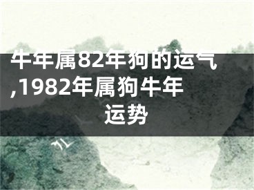 牛年属82年狗的运气,1982年属狗牛年运势