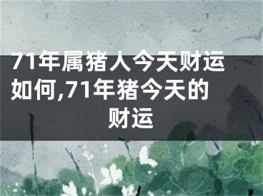 71年属猪人今天财运如何,71年猪今天的财运
