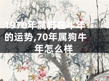 1970年属狗在牛年的运势,70年属狗牛年怎么样