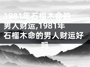 1981年石榴木命的男人财运,1981年石榴木命的男人财运好吗