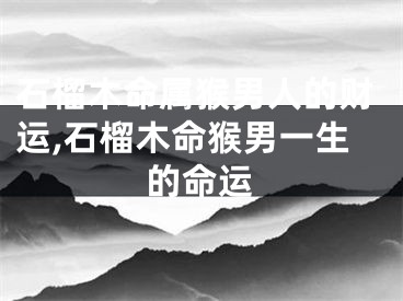 石榴木命属猴男人的财运,石榴木命猴男一生的命运
