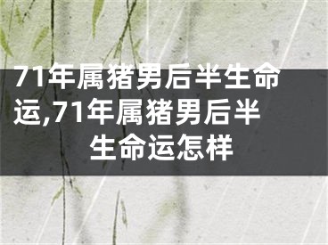 71年属猪男后半生命运,71年属猪男后半生命运怎样