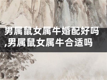 男属鼠女属牛婚配好吗,男属鼠女属牛合适吗