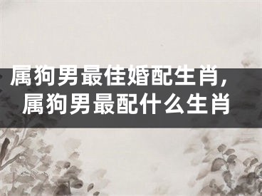属狗男最佳婚配生肖,属狗男最配什么生肖