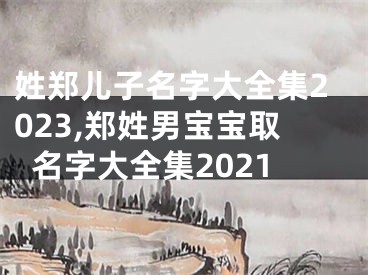 姓郑儿子名字大全集2023,郑姓男宝宝取名字大全集2021