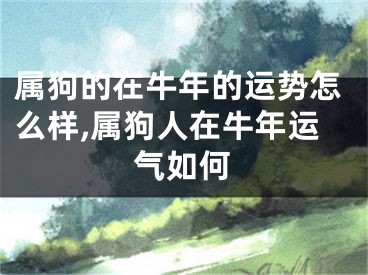 属狗的在牛年的运势怎么样,属狗人在牛年运气如何