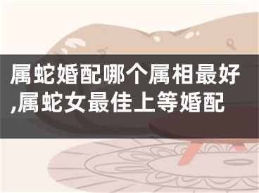 属蛇婚配哪个属相最好,属蛇女最佳上等婚配
