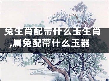 兔生肖配带什么玉生肖,属兔配带什么玉器