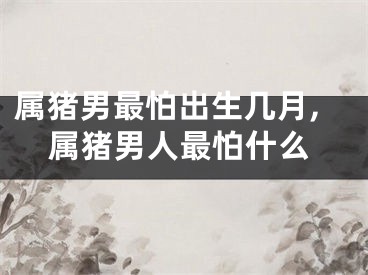 属猪男最怕出生几月,属猪男人最怕什么