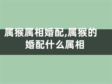属猴属相婚配,属猴的婚配什么属相