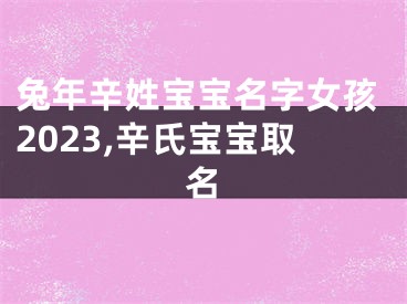 兔年辛姓宝宝名字女孩2023,辛氏宝宝取名