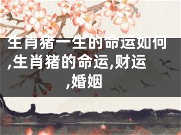生肖猪一生的命运如何,生肖猪的命运,财运,婚姻