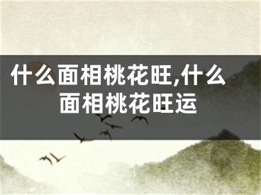 什么面相桃花旺,什么面相桃花旺运