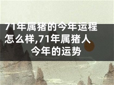 71年属猪的今年运程怎么样,71年属猪人今年的运势