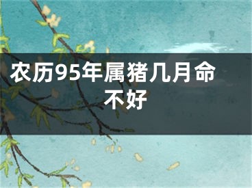 农历95年属猪几月命不好