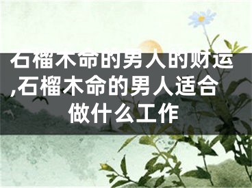 石榴木命的男人的财运,石榴木命的男人适合做什么工作