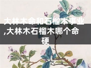 大林木命和石榴木事业,大林木石榴木哪个命硬