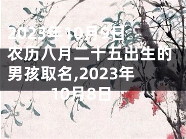2023年10月9日农历八月二十五出生的男孩取名,2023年10月8日