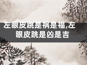 左眼皮跳是祸是福,左眼皮跳是凶是吉