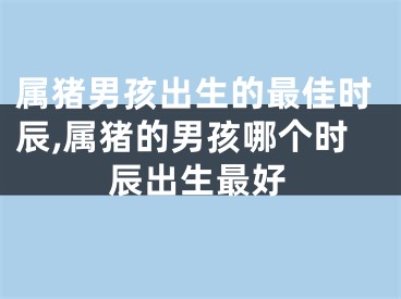 属猪男孩出生的最佳时辰,属猪的男孩哪个时辰出生最好