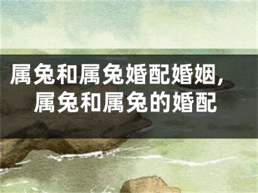 属兔和属兔婚配婚姻,属兔和属兔的婚配