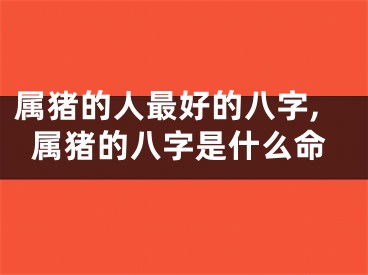 属猪的人最好的八字,属猪的八字是什么命