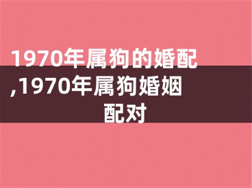 1970年属狗的婚配,1970年属狗婚姻配对