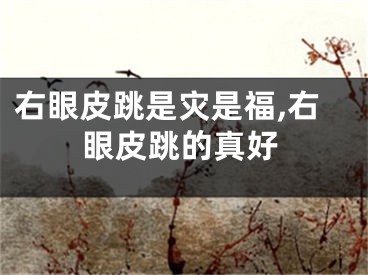 右眼皮跳是灾是福,右眼皮跳的真好