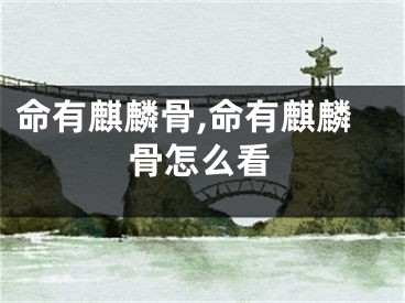 命有麒麟骨,命有麒麟骨怎么看