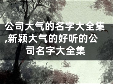 公司大气的名字大全集,新颖大气的好听的公司名字大全集