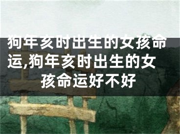 狗年亥时出生的女孩命运,狗年亥时出生的女孩命运好不好