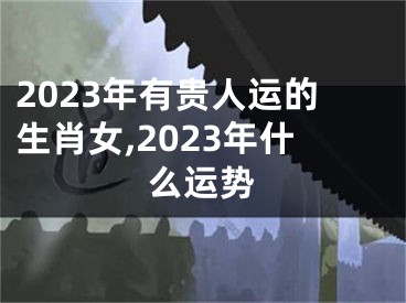 2023年有贵人运的生肖女,2023年什么运势