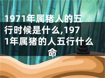 1971年属猪人的五行时候是什么,1971年属猪的人五行什么命