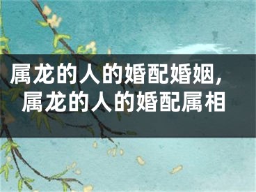 属龙的人的婚配婚姻,属龙的人的婚配属相