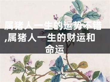 属猪人一生的运势不错,属猪人一生的财运和命运