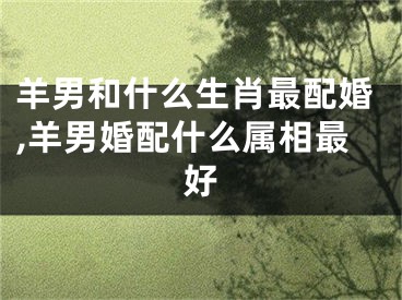 羊男和什么生肖最配婚,羊男婚配什么属相最好