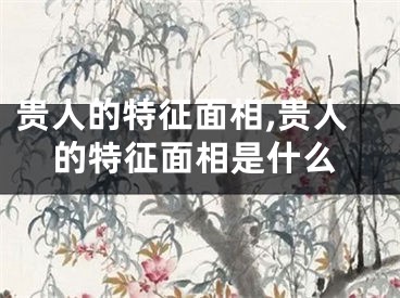 贵人的特征面相,贵人的特征面相是什么