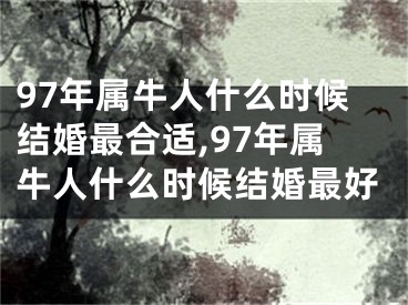 97年属牛人什么时候结婚最合适,97年属牛人什么时候结婚最好