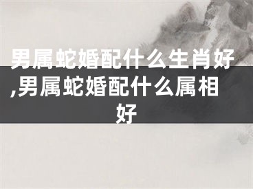 男属蛇婚配什么生肖好,男属蛇婚配什么属相好