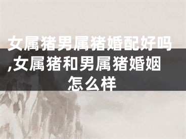 女属猪男属猪婚配好吗,女属猪和男属猪婚姻怎么样