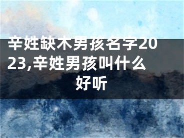 辛姓缺木男孩名字2023,辛姓男孩叫什么好听