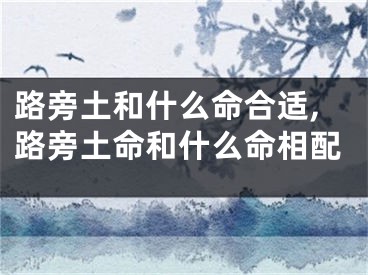 路旁土和什么命合适,路旁土命和什么命相配
