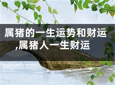 属猪的一生运势和财运,属猪人一生财运