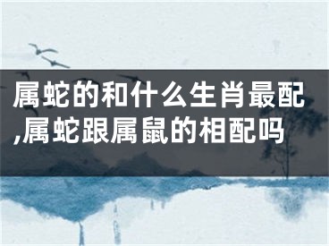 属蛇的和什么生肖最配,属蛇跟属鼠的相配吗